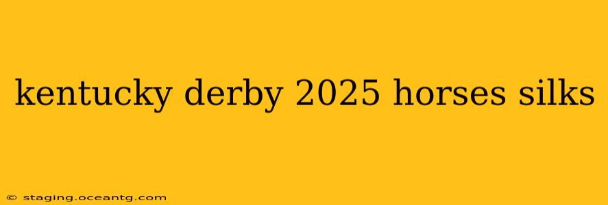kentucky derby 2025 horses silks
