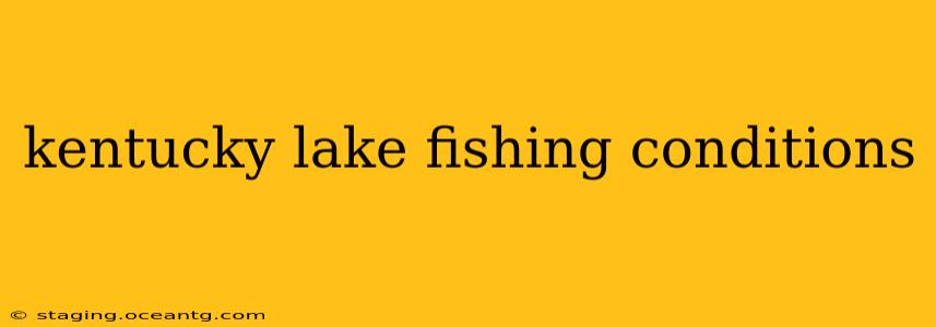 kentucky lake fishing conditions
