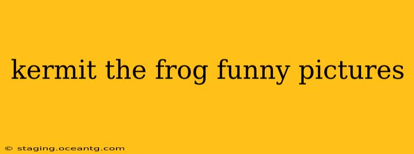 kermit the frog funny pictures