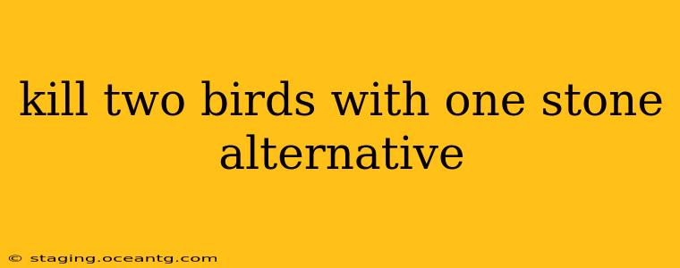 kill two birds with one stone alternative