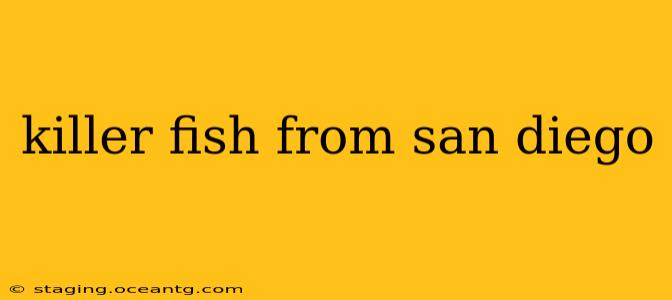 killer fish from san diego