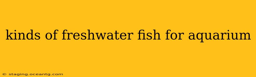 kinds of freshwater fish for aquarium