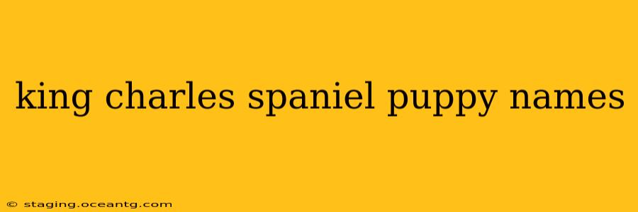 king charles spaniel puppy names