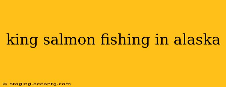 king salmon fishing in alaska