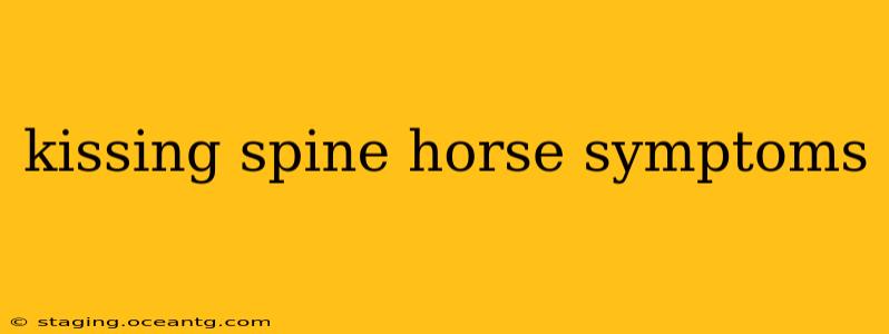 kissing spine horse symptoms