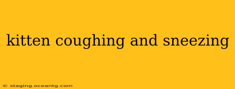 kitten coughing and sneezing