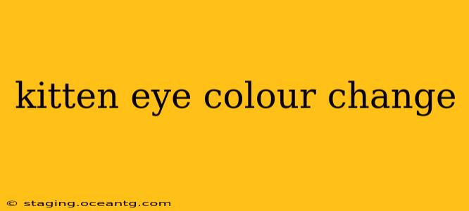 kitten eye colour change