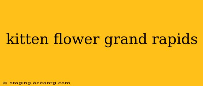 kitten flower grand rapids