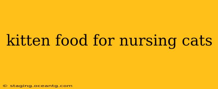 kitten food for nursing cats