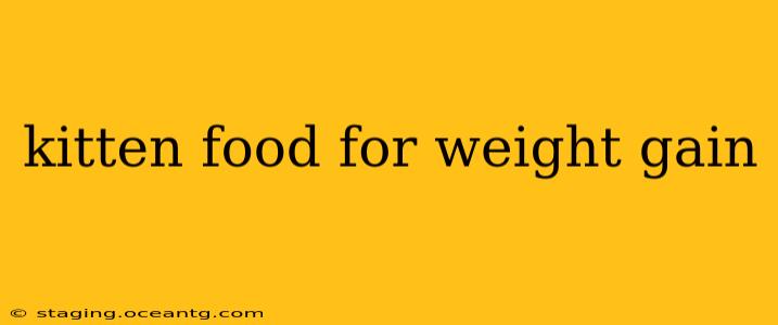 kitten food for weight gain