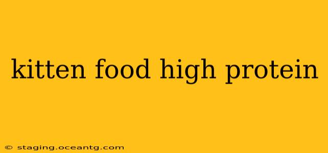 kitten food high protein