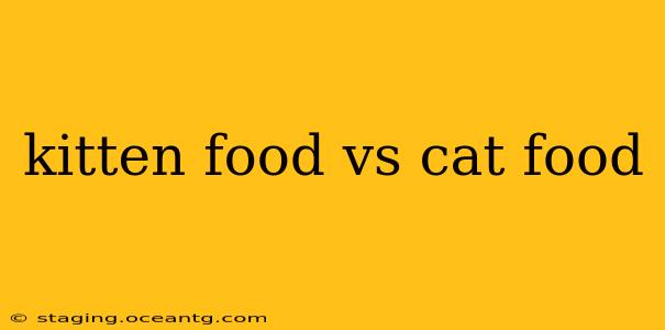 kitten food vs cat food