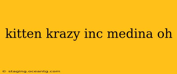 kitten krazy inc medina oh
