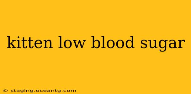 kitten low blood sugar
