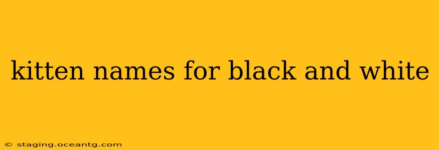 kitten names for black and white