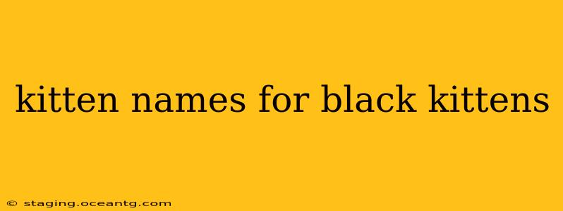 kitten names for black kittens