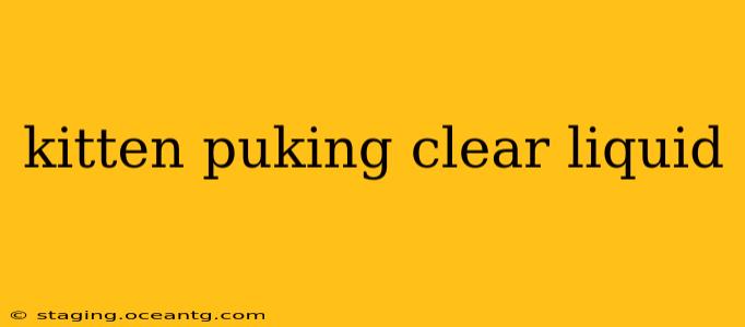 kitten puking clear liquid