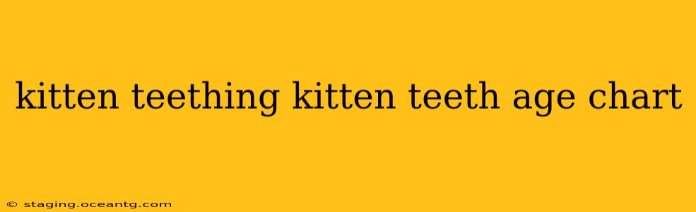 kitten teething kitten teeth age chart