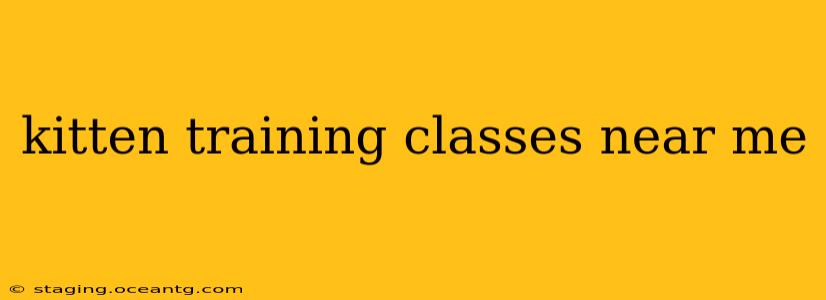 kitten training classes near me