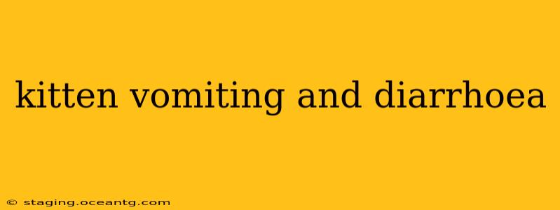 kitten vomiting and diarrhoea
