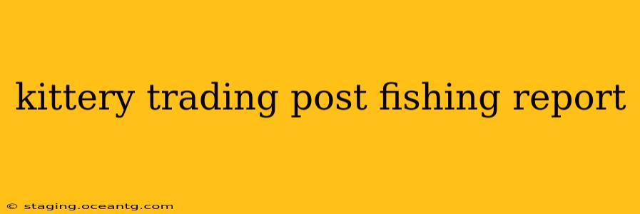 kittery trading post fishing report