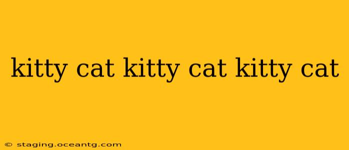 kitty cat kitty cat kitty cat