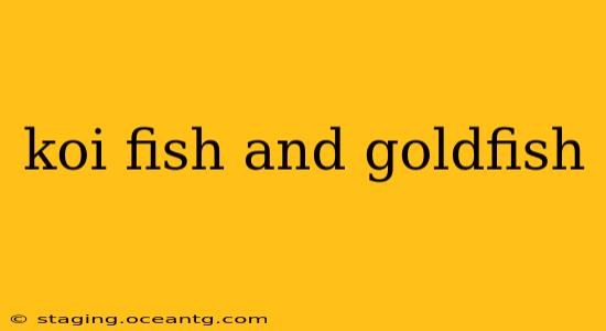 koi fish and goldfish