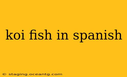 koi fish in spanish