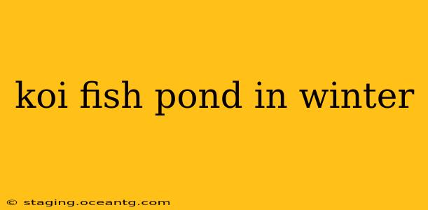 koi fish pond in winter