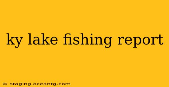 ky lake fishing report