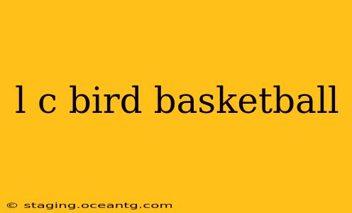 l c bird basketball
