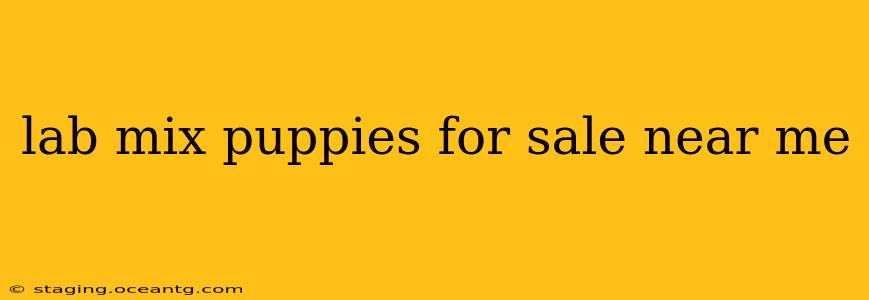 lab mix puppies for sale near me