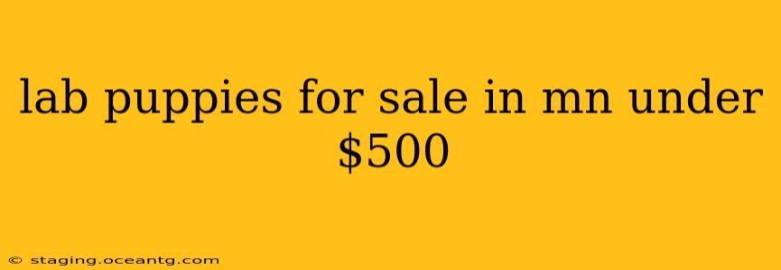 lab puppies for sale in mn under $500