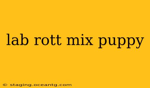 lab rott mix puppy