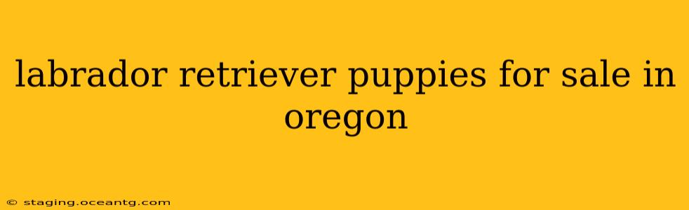 labrador retriever puppies for sale in oregon