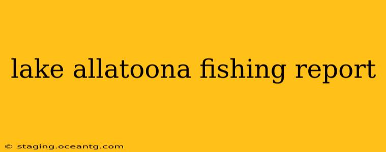 lake allatoona fishing report