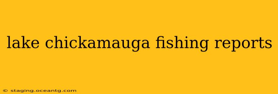 lake chickamauga fishing reports