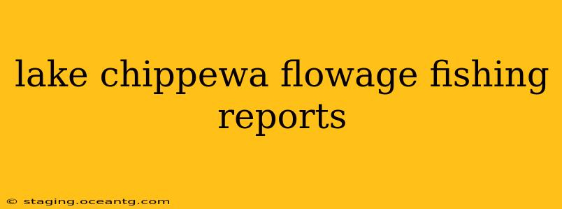 lake chippewa flowage fishing reports