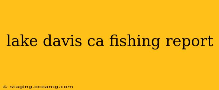 lake davis ca fishing report