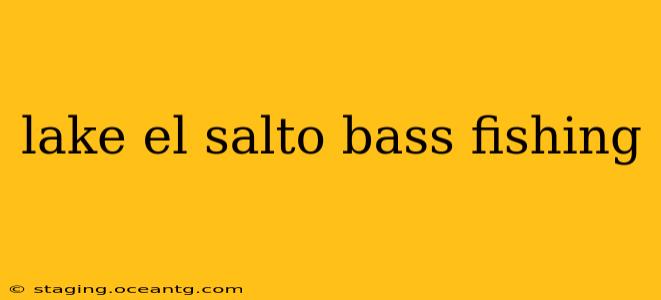 lake el salto bass fishing