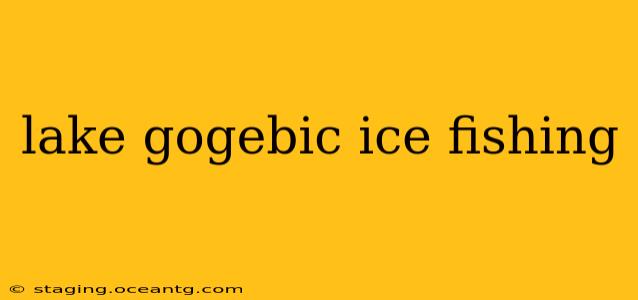 lake gogebic ice fishing