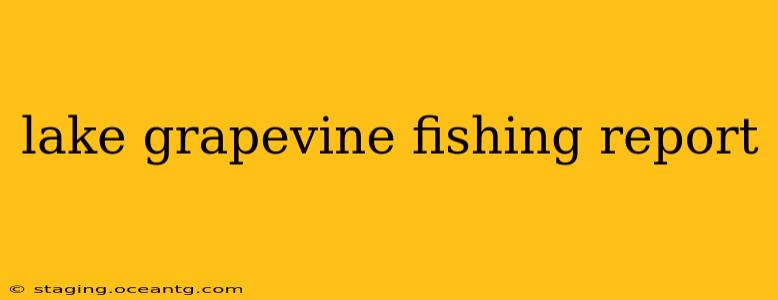 lake grapevine fishing report