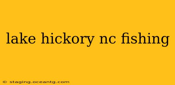 lake hickory nc fishing
