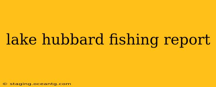lake hubbard fishing report