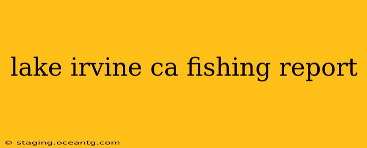 lake irvine ca fishing report