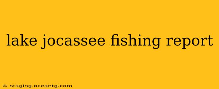 lake jocassee fishing report