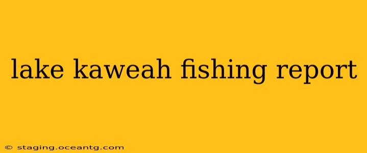 lake kaweah fishing report