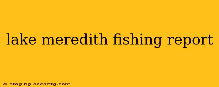 lake meredith fishing report