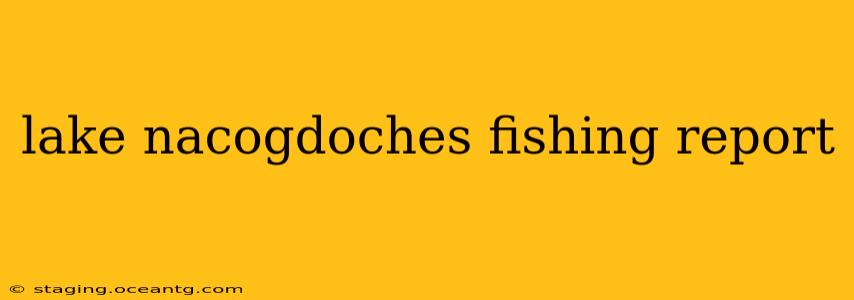 lake nacogdoches fishing report