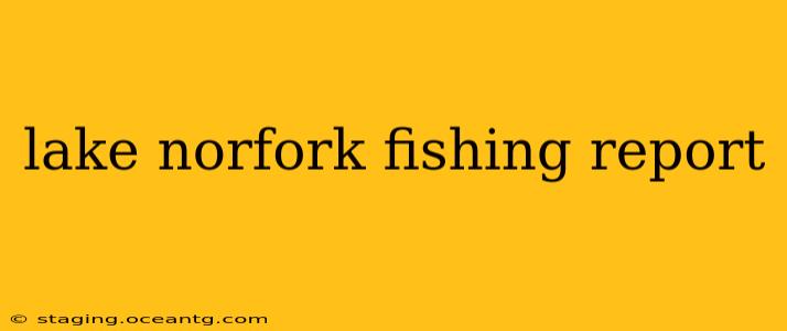 lake norfork fishing report
